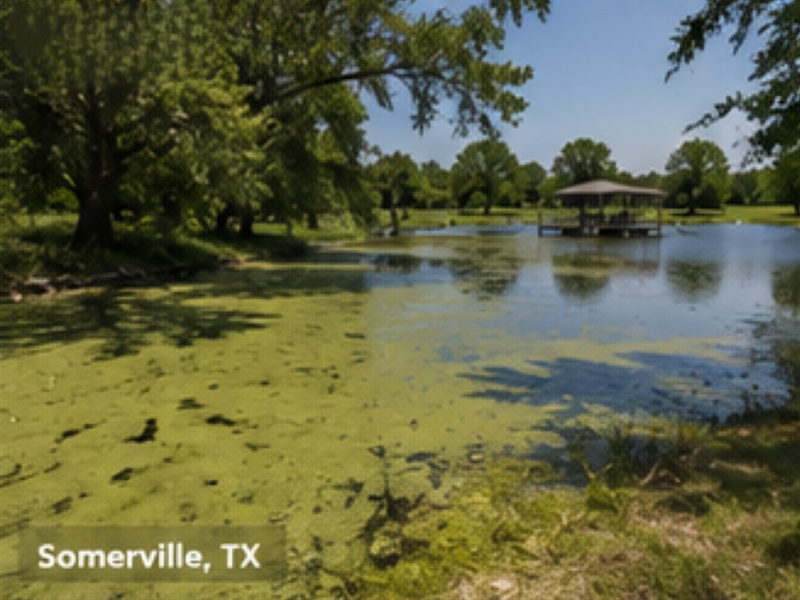 Central Texas Region Project Highlights