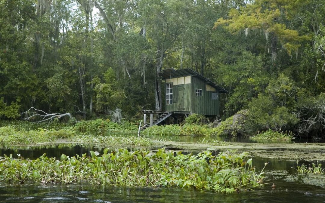 Scaling Your Aquatic Care: Understanding Pond Maintenance vs. Lake Management
