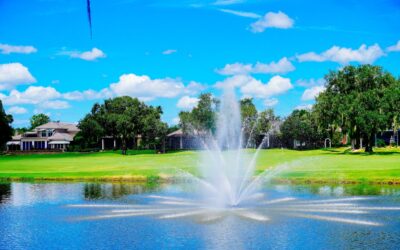 Restoration Beyond the Surface: Our Primary Goal for Your Lake or Pond
