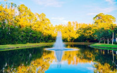 The Science of Breath: How Aeration and Fountains Transform Water Quality