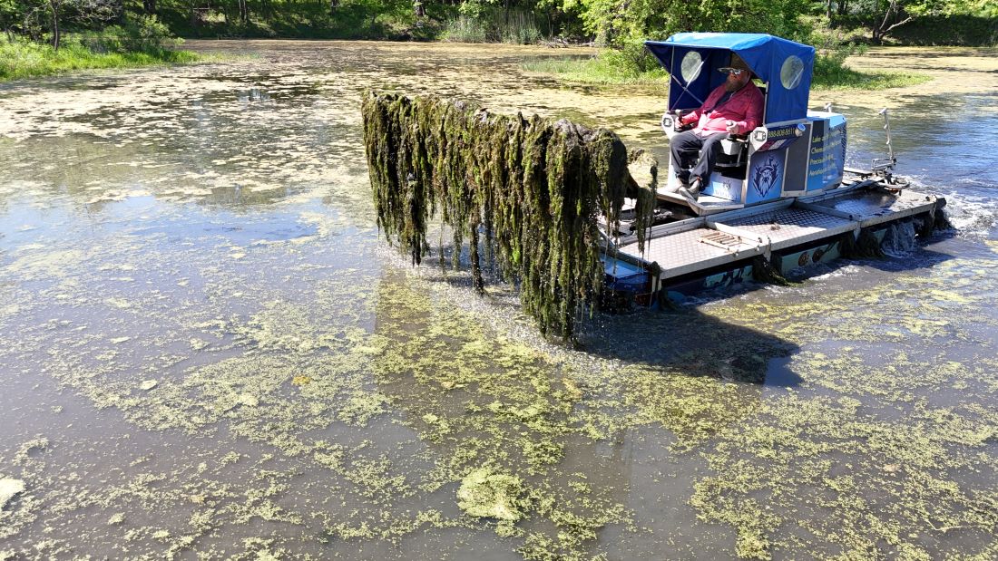 Pond Weeds – Maintenance & Removal