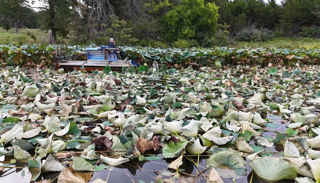 Customized Aquatic Service Plans: Tailored Solutions for Your Lake or Pond