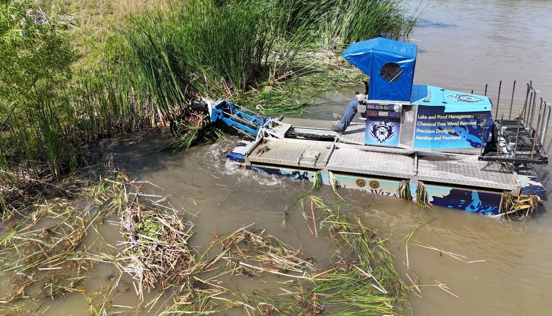 The Green standard: Why Our Eco-Friendly Aquatic Management is Better for Your Water