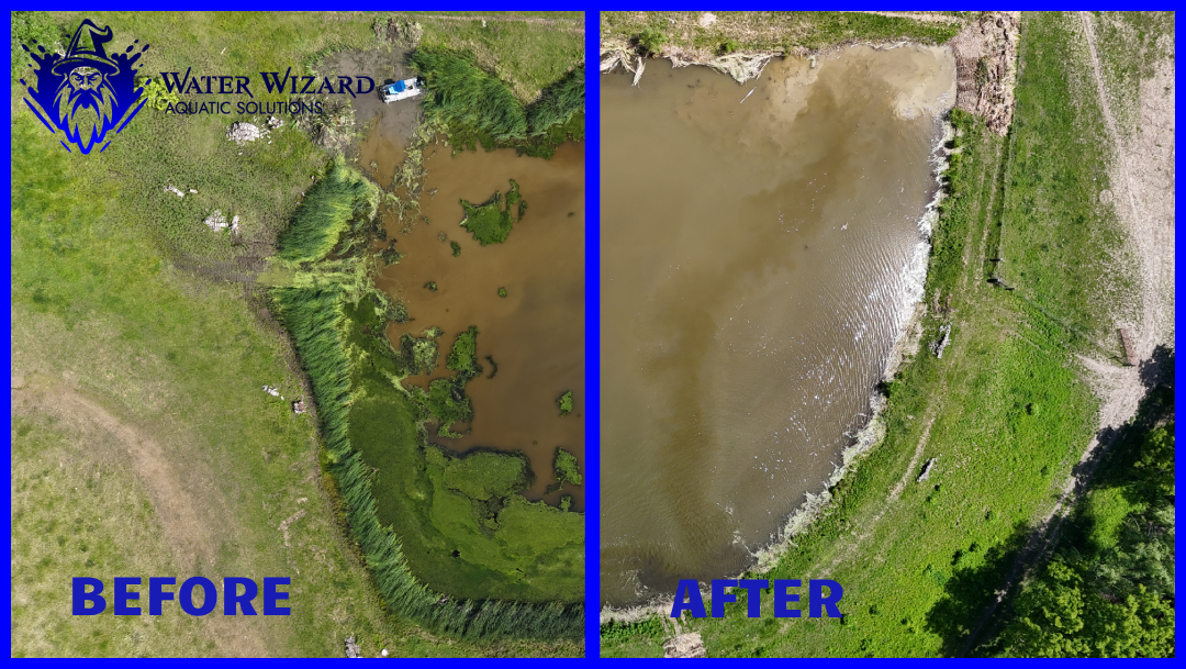 Kansas City Pond Restoration