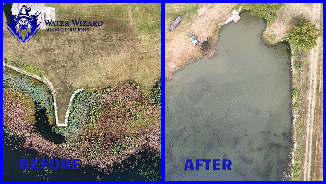 Central Texas Region Project Highlights