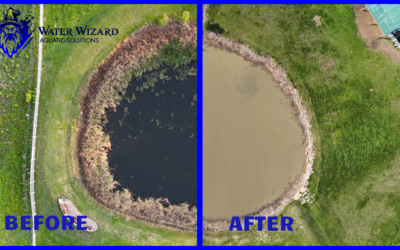The Restoration Timeline: What to Expect When Reclaiming Your Lake
