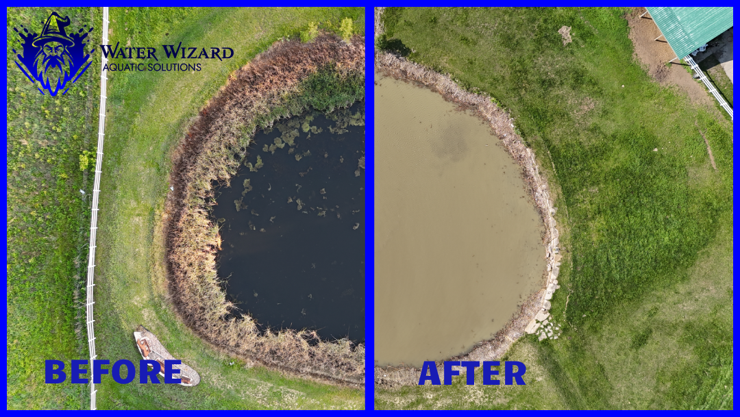 The Restoration Timeline: What to Expect When Reclaiming Your Lake